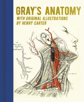 bokomslag Gray's Anatomy