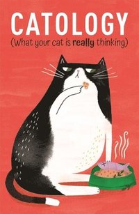 bokomslag Catology: What Your Cat Is Really Thinking