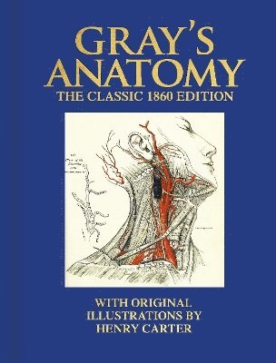 bokomslag Gray's Anatomy