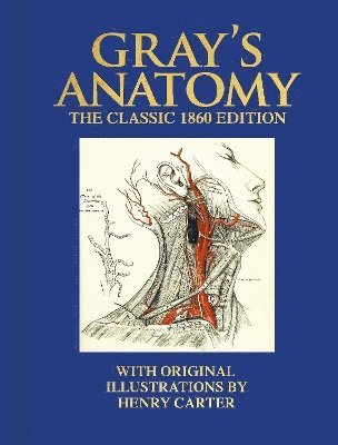 Gray's Anatomy 1