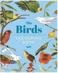 bokomslag The Birds Colouring Book