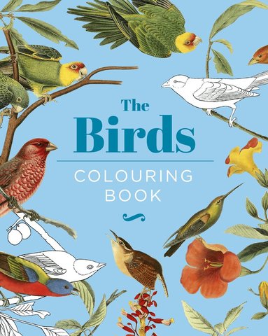 Peter Gray - Birds Colouring Book, Inbunden