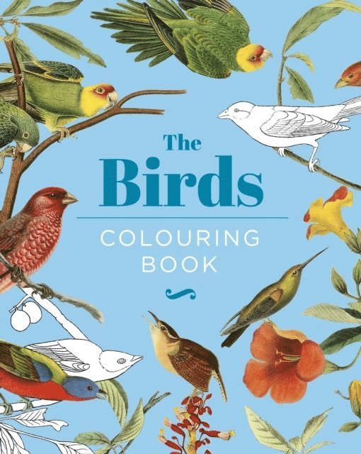The Birds Colouring Book 1
