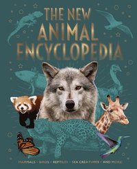 bokomslag The New Animal Encyclopedia: Mammals, Birds, Reptiles, Sea Creatures, and More!