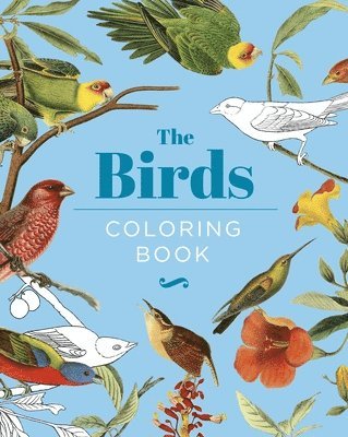 The Birds Coloring Book: Hardback Gift Edition 1