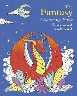 Tansy Willow - Fantasy Colouring Book, Häftad