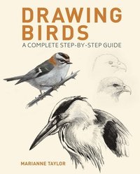 bokomslag Drawing Birds: A Complete Step-By-Step Guide