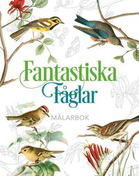 bokomslag Fantastiska fåglar - målarbok