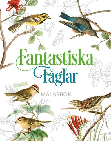 bokomslag Fantastiska fåglar - målarbok