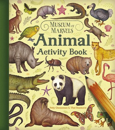 Polly Cheeseman - Museum of Marvels: Animal Activity Book, Häftad