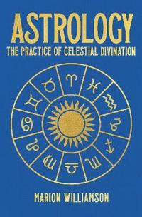 bokomslag Astrology