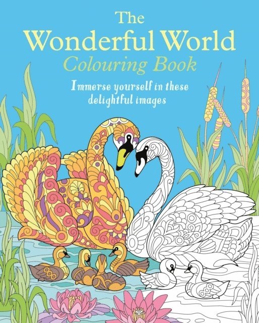 Tansy Willow - Wonderful World Colouring Book, Häftad
