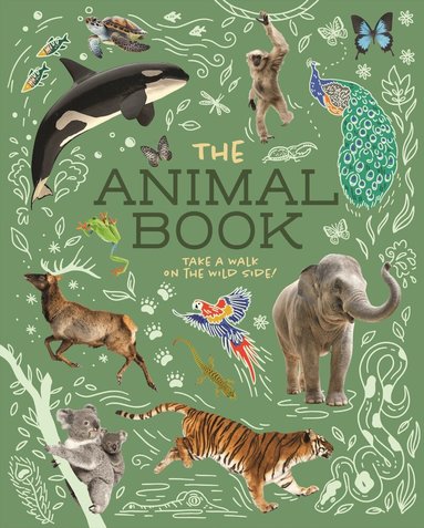 Michael Leach, Meriel Lland - Animal Book, Häftad