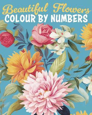 Beautiful Flowers Colour by Numbers 1