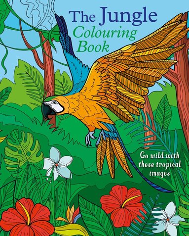 Tansy Willow - Jungle Colouring Book, Häftad