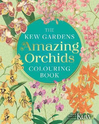 Kew Gardens Amazing Orchids Colouring Book