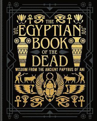 bokomslag The Egyptian Book of the Dead