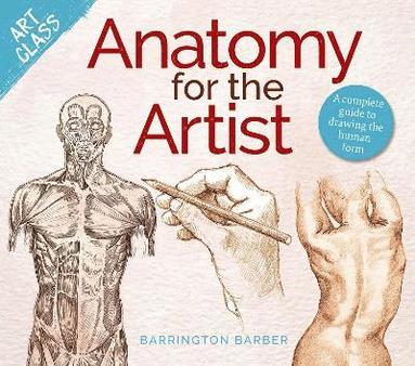 bokomslag Art Class: Anatomy for the Artist