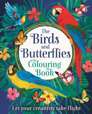 Tansy Willow - Birds and Butterflies Colouring Book, Häftad