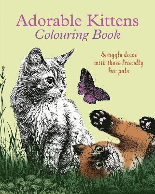 bokomslag Adorable Kittens Colouring Book