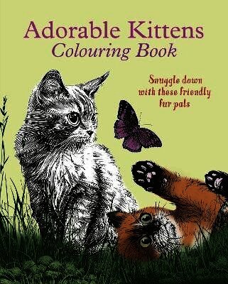Adorable Kittens Colouring Book