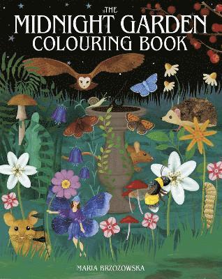 bokomslag The Midnight Garden Colouring Book