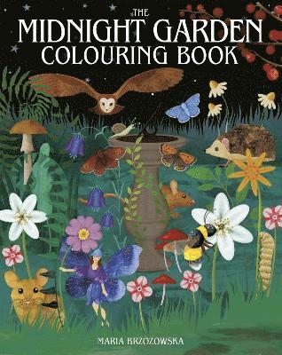 Midnight Garden Colouring Book