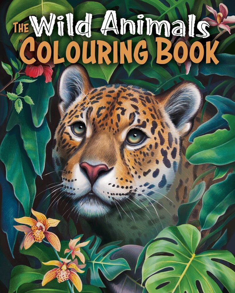 Tansy Willow - Wild Animals Colouring Book, Häftad