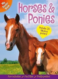 bokomslag My Poster Book: Horses & Ponies: Includes 30 Fabulous Posters
