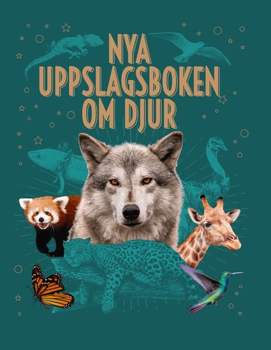 Michael Leach, Meriel Lland, Claudia Martin, Claire Philip, Alex Woolf - Nya uppslagsboken om djur, Inbunden