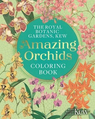 bokomslag The Royal Botanic Gardens, Kew Amazing Orchids Coloring Book