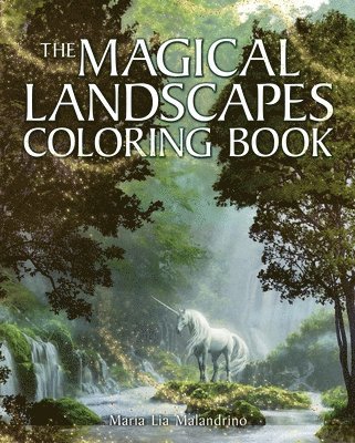 bokomslag The Magical Landscapes Coloring Book