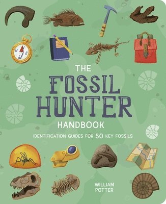 The Fossil Hunter Handbook: Identification Guides for 50 Key Fossils 1