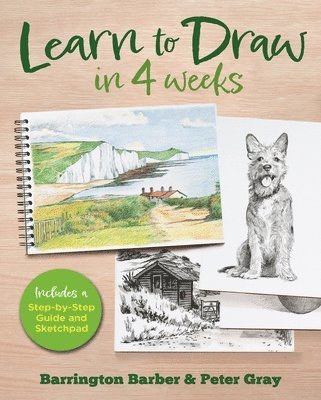 Learn to Draw in 4 Weeks: Includes a Step-By-Step Guide and Sketchpad 1