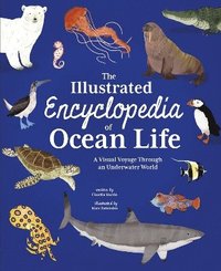 bokomslag Illustrated Encyclopedia of Ocean Life
