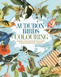 bokomslag Audubon Birds Colouring Kit