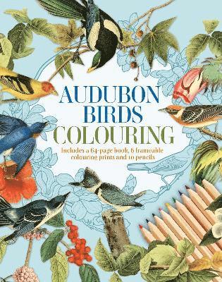 Audubon Birds Colouring Kit 1