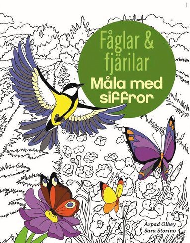 bokomslag Fåglar och Fjärilar - Måla med siffror