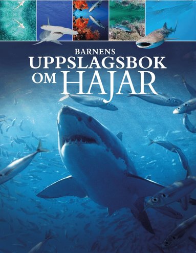 Claudia Martin - Barnens uppslagsbok om hajar, Inbunden
