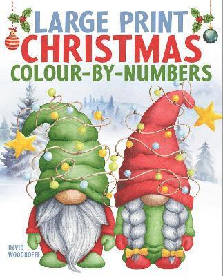 bokomslag Large Print Christmas Colour-by-Numbers