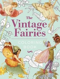 bokomslag The Vintage Fairies Coloring Book