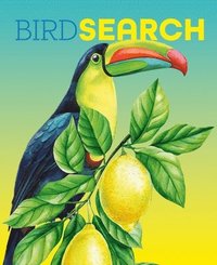 bokomslag Birdsearch Wordsearch: 90 Bird-Themed Puzzles