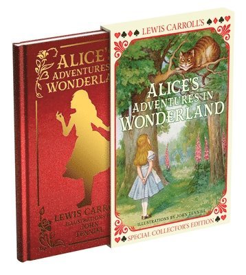 Alice's Adventures in Wonderland 1