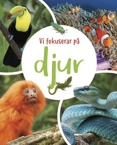 Claudia Martin - Vi fokuserar på. Djur, Inbunden