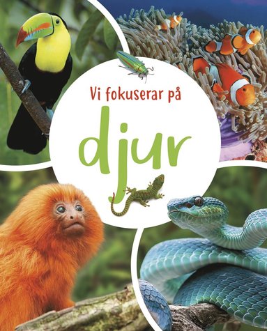 bokomslag Vi fokuserar på - Djur