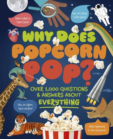 Dan Green, Clare Hibbert, Anne Rooney - Why Does Popcorn Pop?, Inbunden