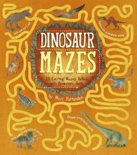 bokomslag Dinosaur Mazes