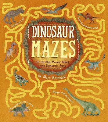 bokomslag Dinosaur Mazes