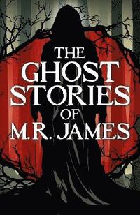 bokomslag Ghost Stories of M. R. James