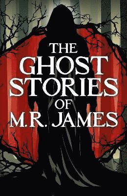 bokomslag Ghost Stories of M. R. James